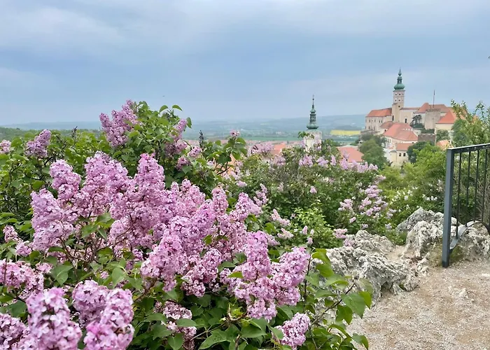 Dream Apt Mikulov